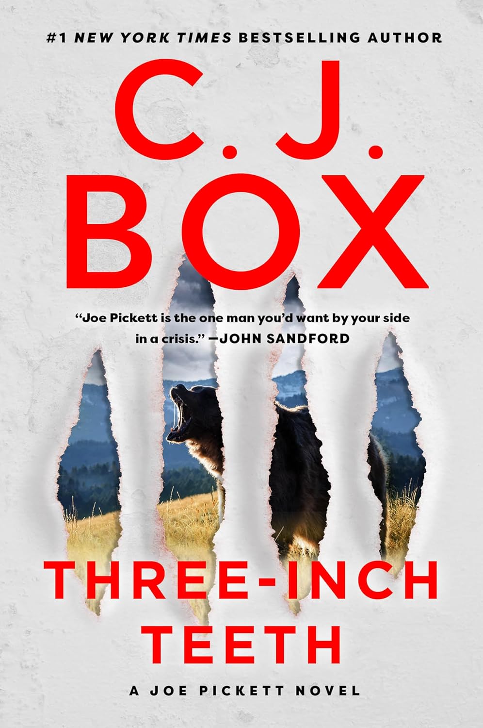 Three-Inch Teeth: A Joe Pickett Novel by C.J. Box (paperback)