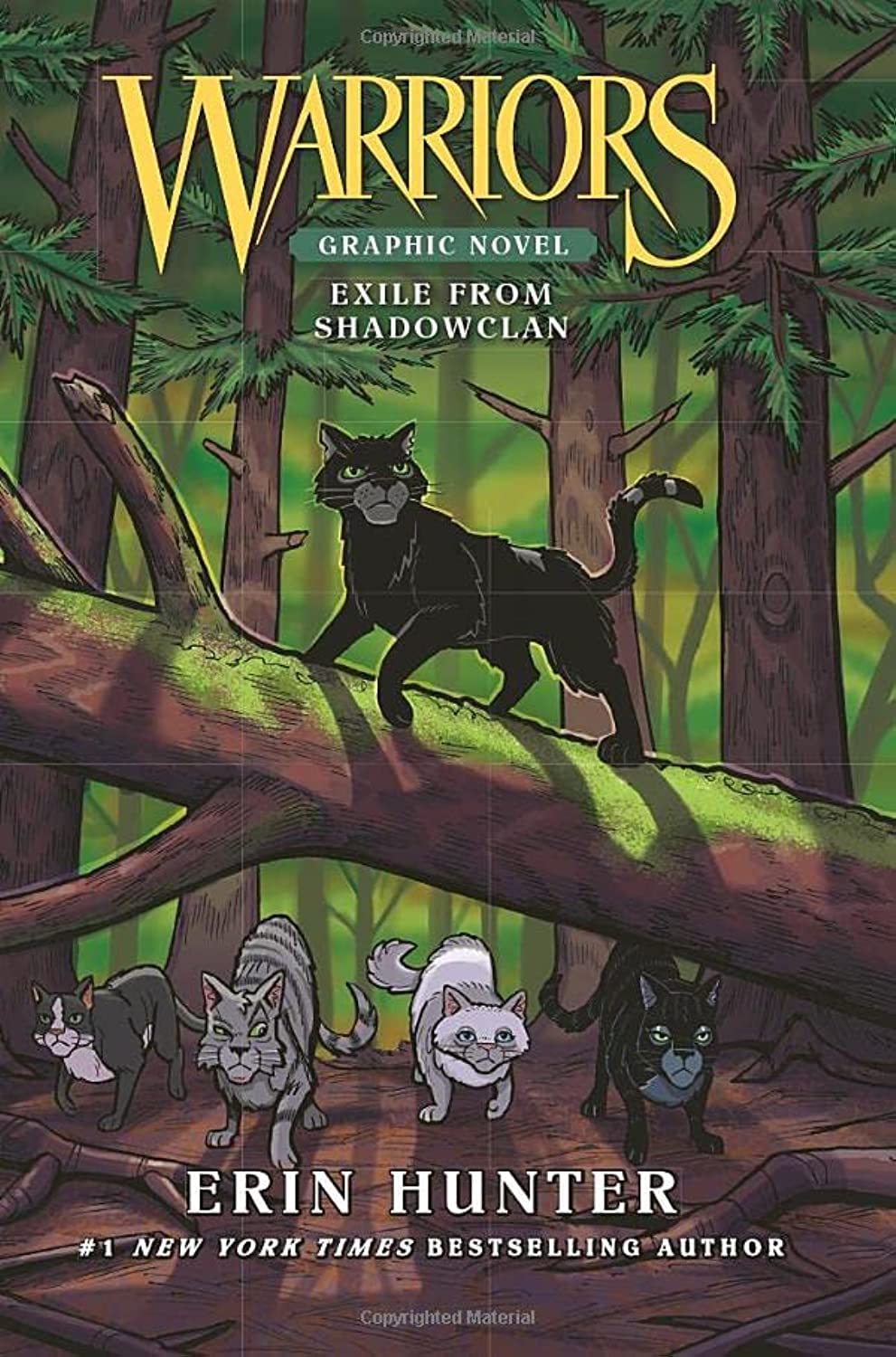 Warriors Exile From Shadowclan by Erin Hunter