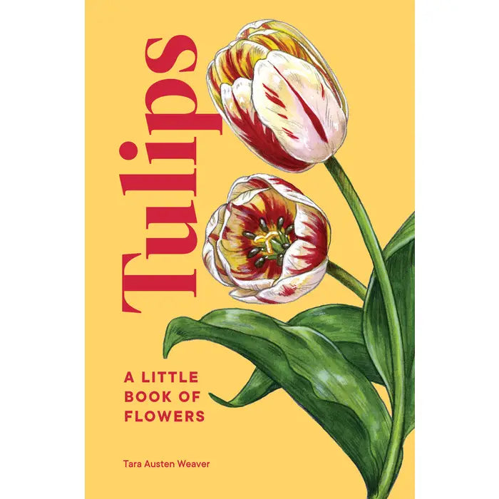 Tulips by Tara Austen Weaver