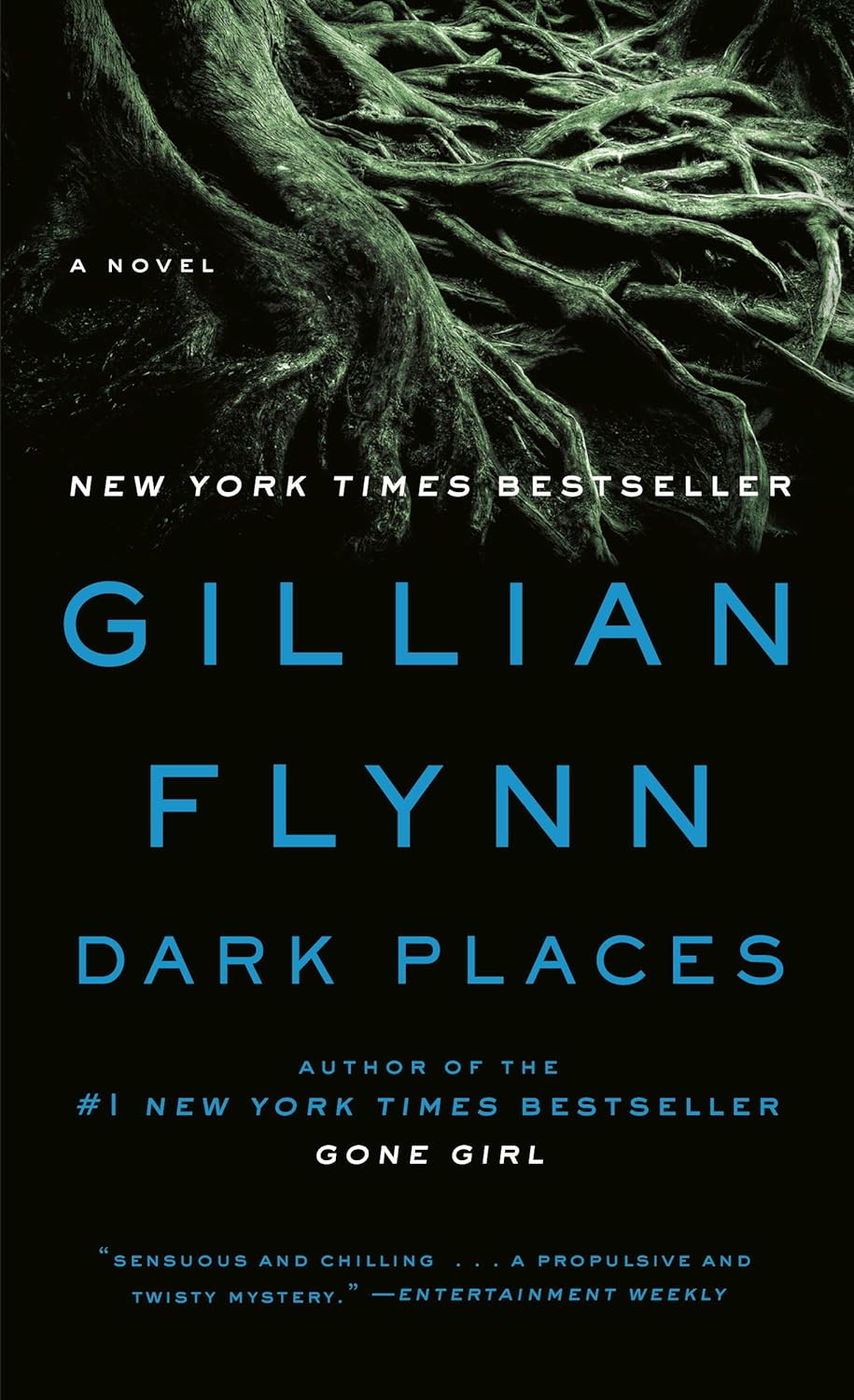 Dark Places: A Novel by Gillian Flynn