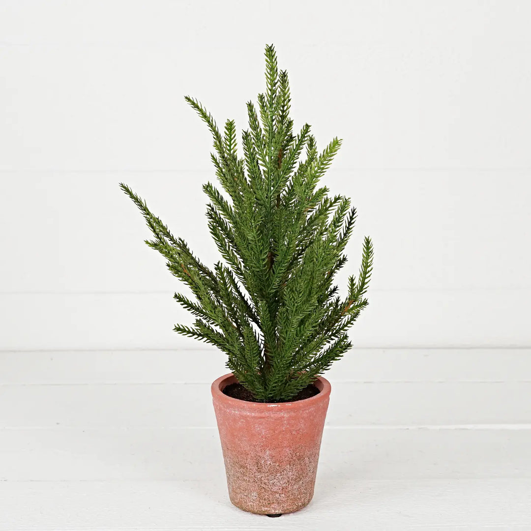 Evergreen Norfolk Pine Soft Touch