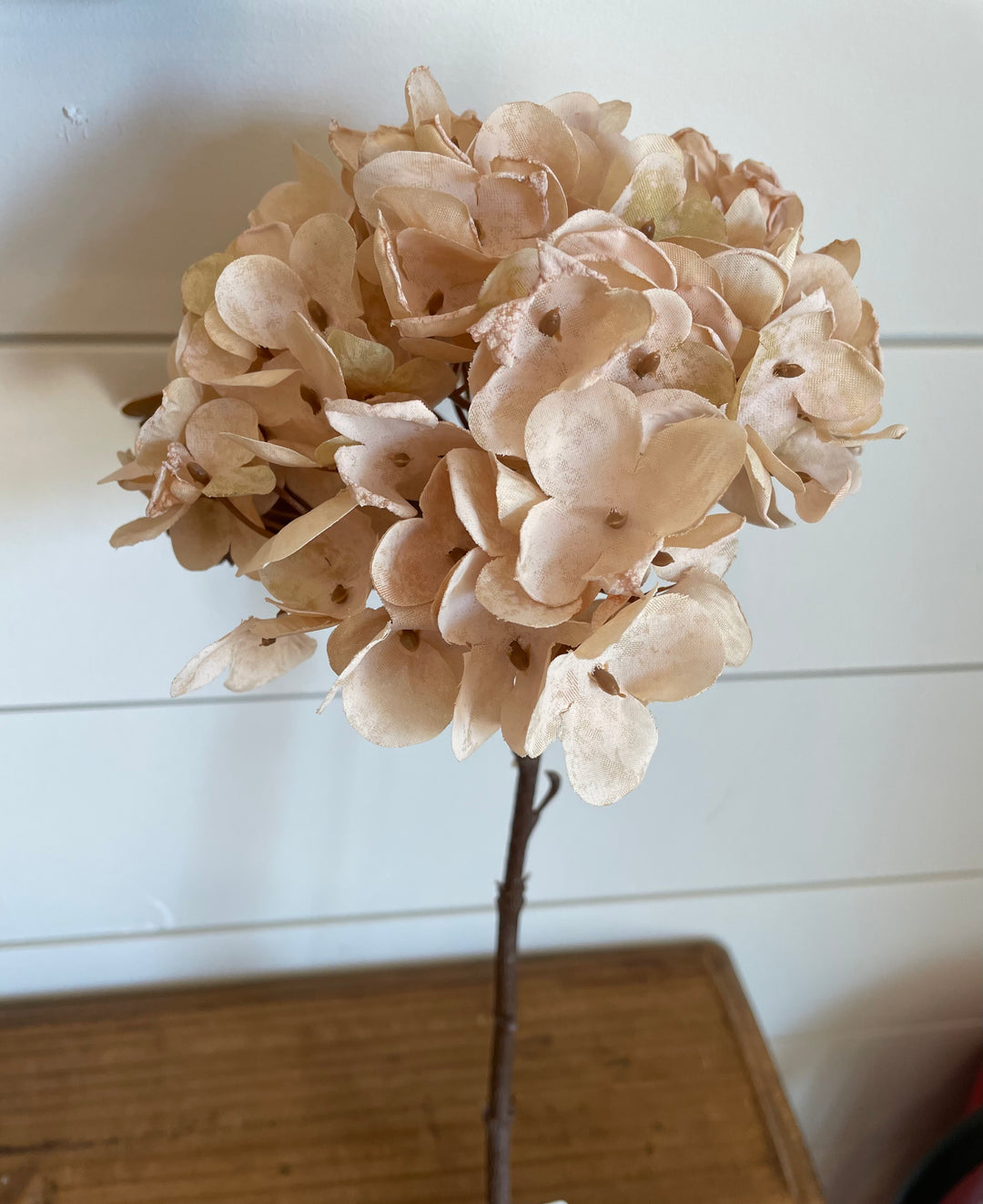13"L Dried Hydrangea Pick, Cream