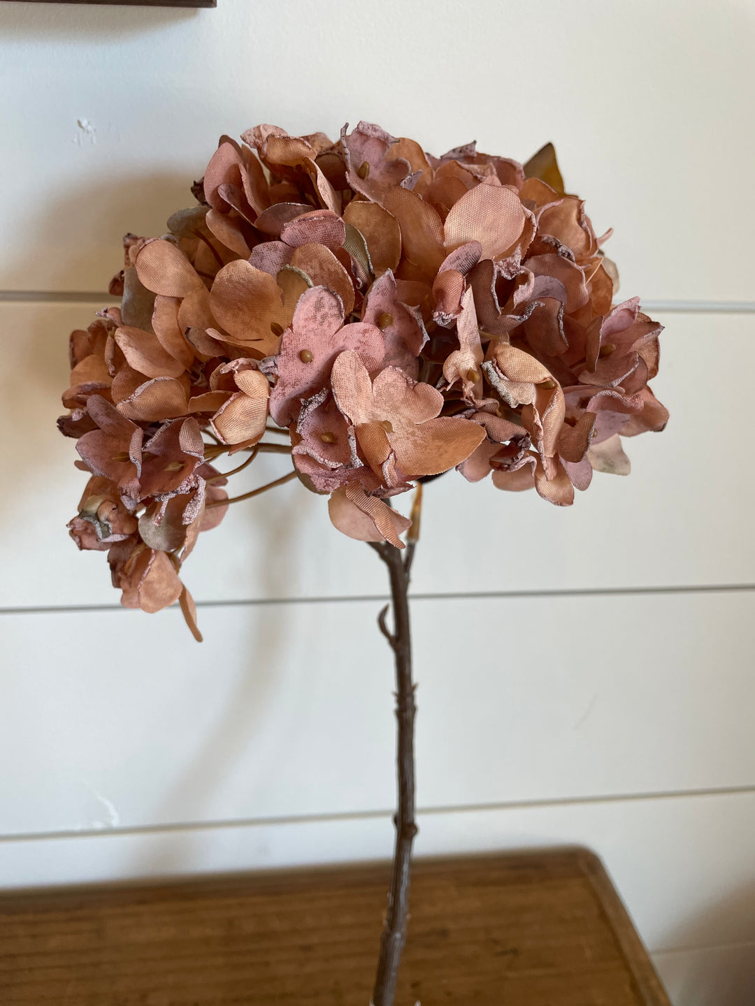 13"L Dried Hydrangea Pick, Rust