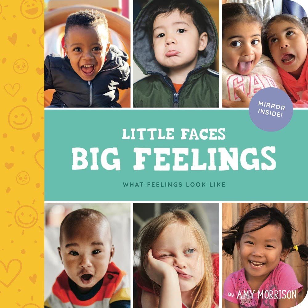 Little Faces Big Feelings: What Emotions Look Like by Amy Morrison