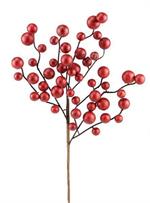 Mixed Berry Pick