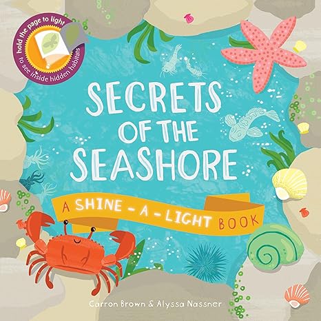 Secrets of the Seashore by Carron Brown and Alyssa Nassner