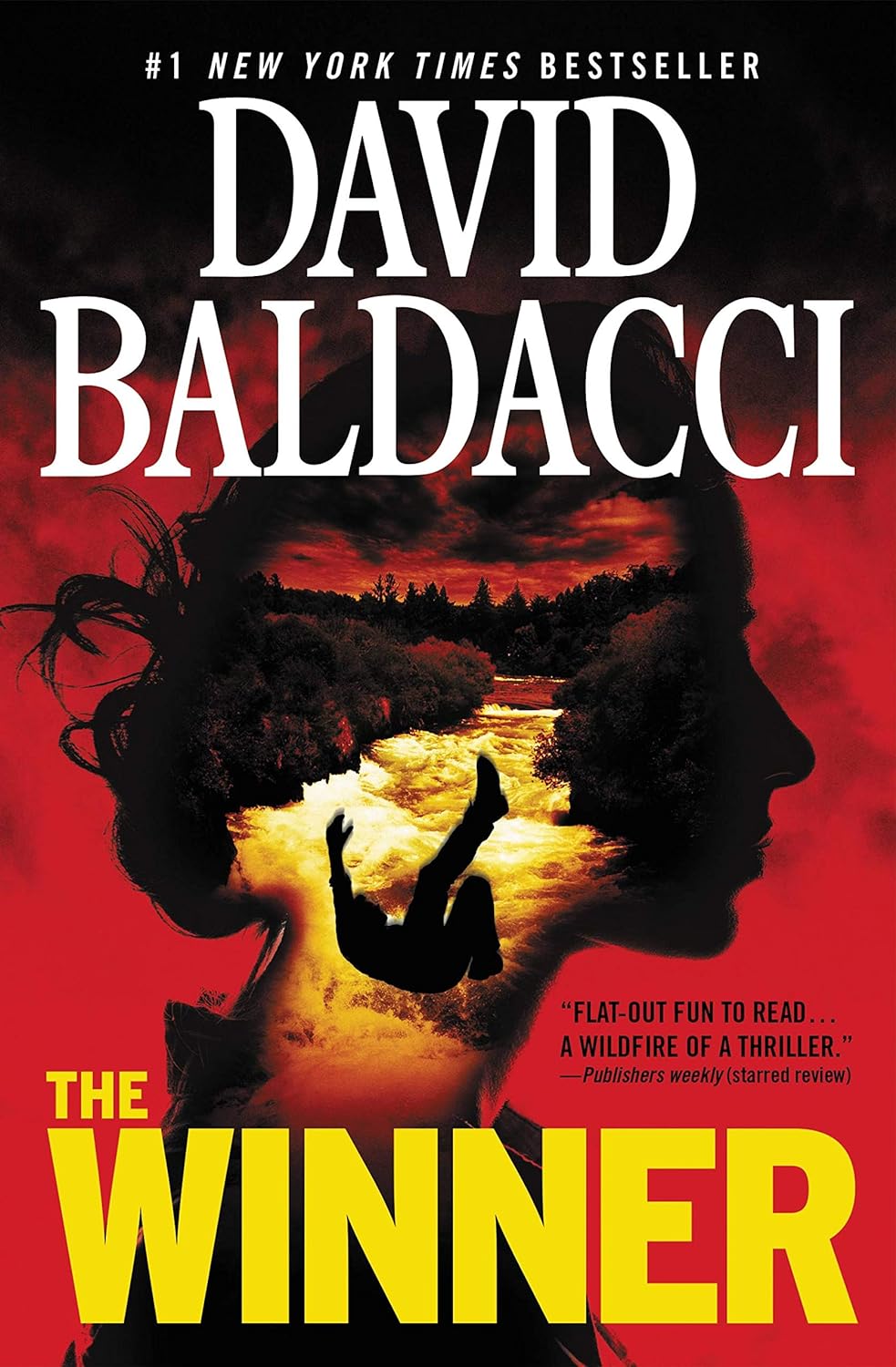 The Winner by David Baldacci