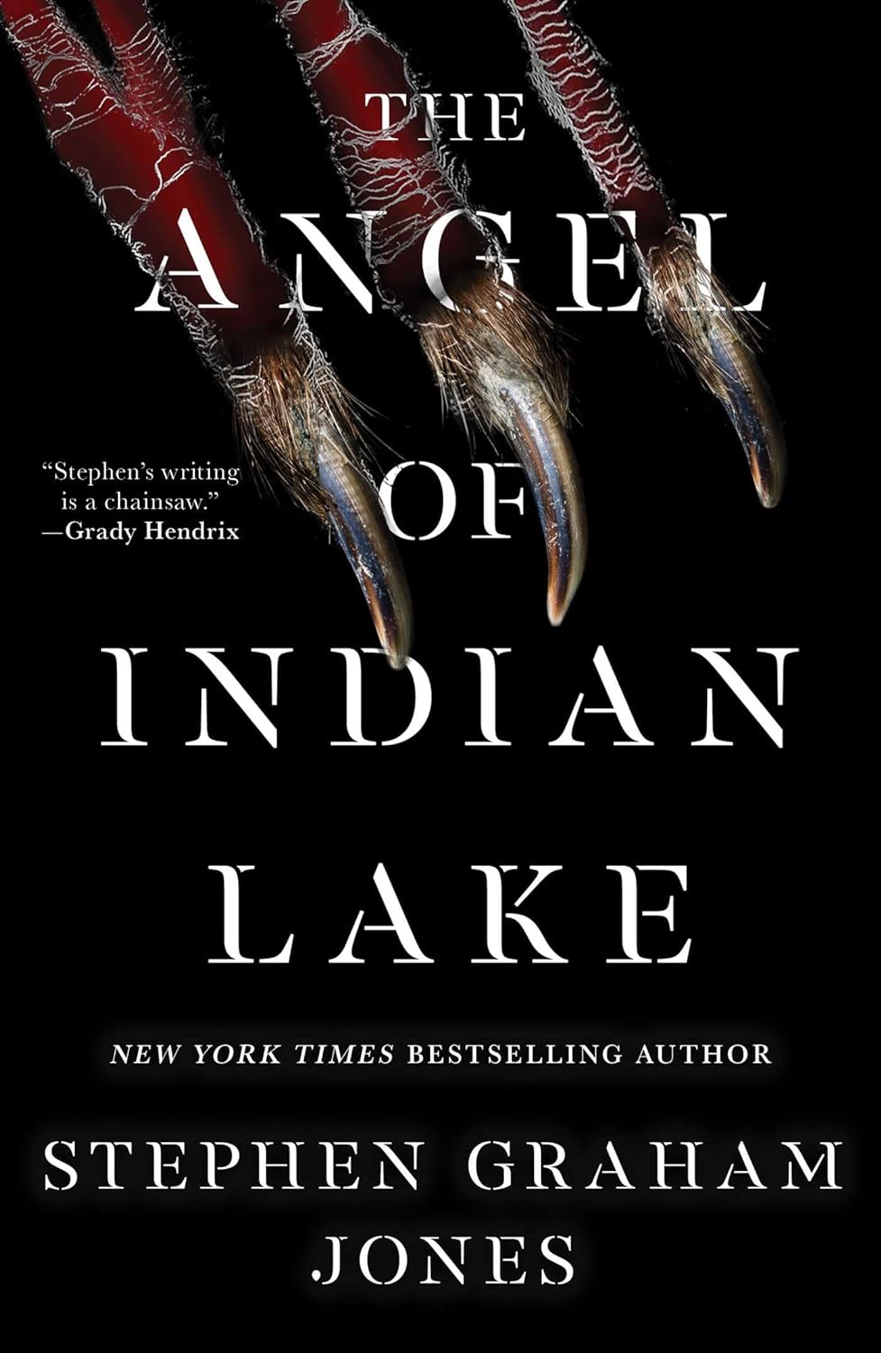 The Angel of Indian Lake by Stephen Graham Jones