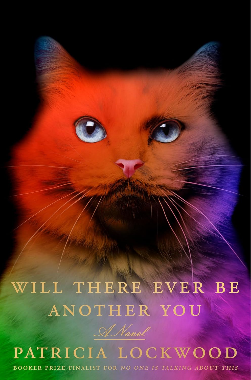 Will There Ever Be Another You by Patricia Lockwood (Hardback)