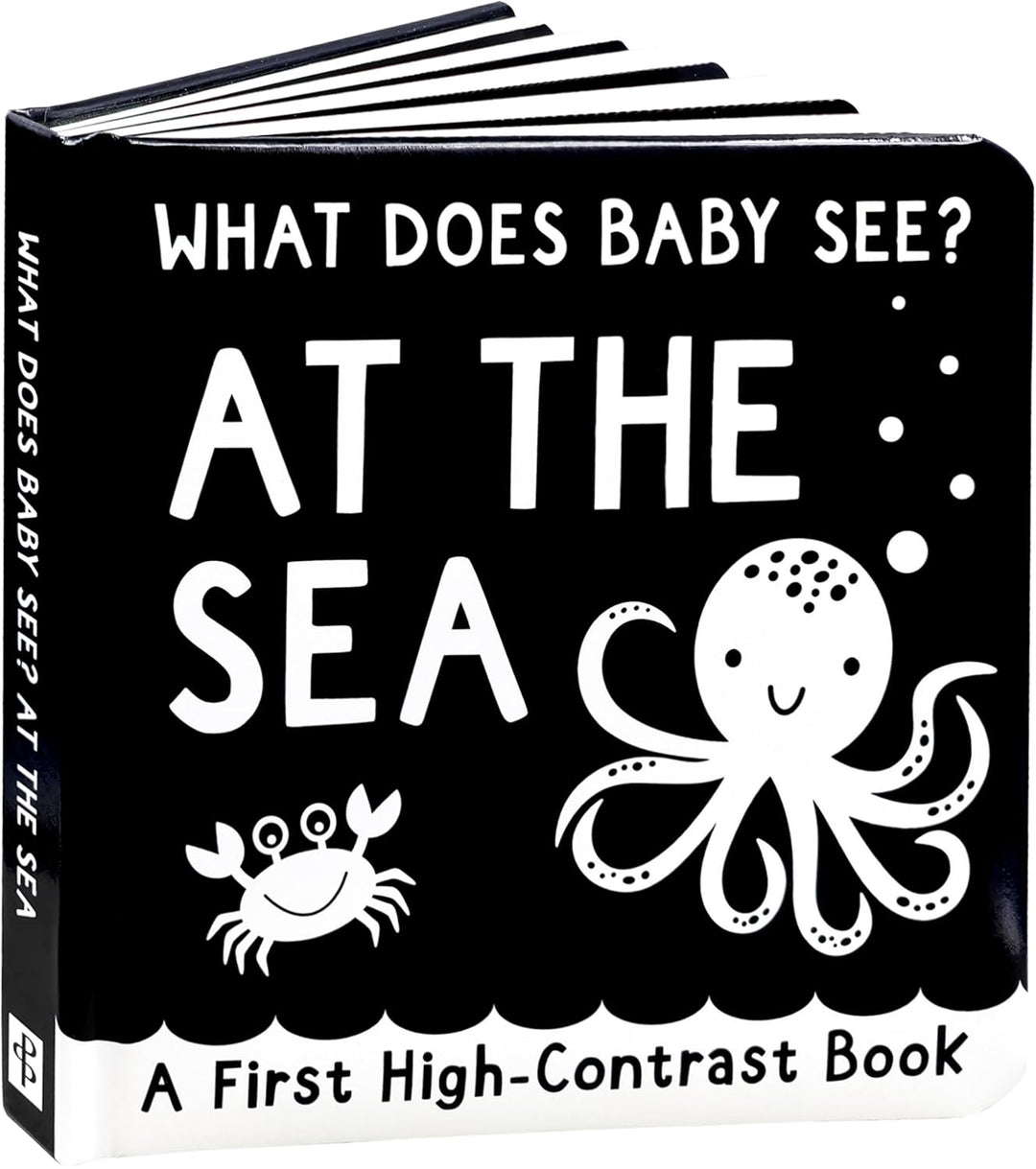 What Does Baby See? At The Sea