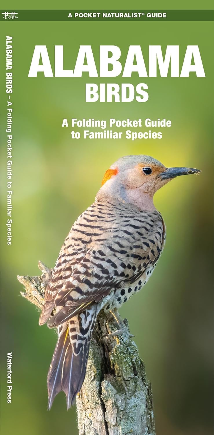 Alabama Birds: A Folding Pocket Guide to Familiar Species by James Kavanagh (Author), Leung Raymond (Illustrator)