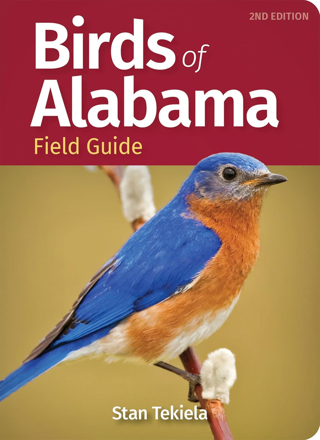 Birds of Alabama: Field Guide by Stan Tekiela