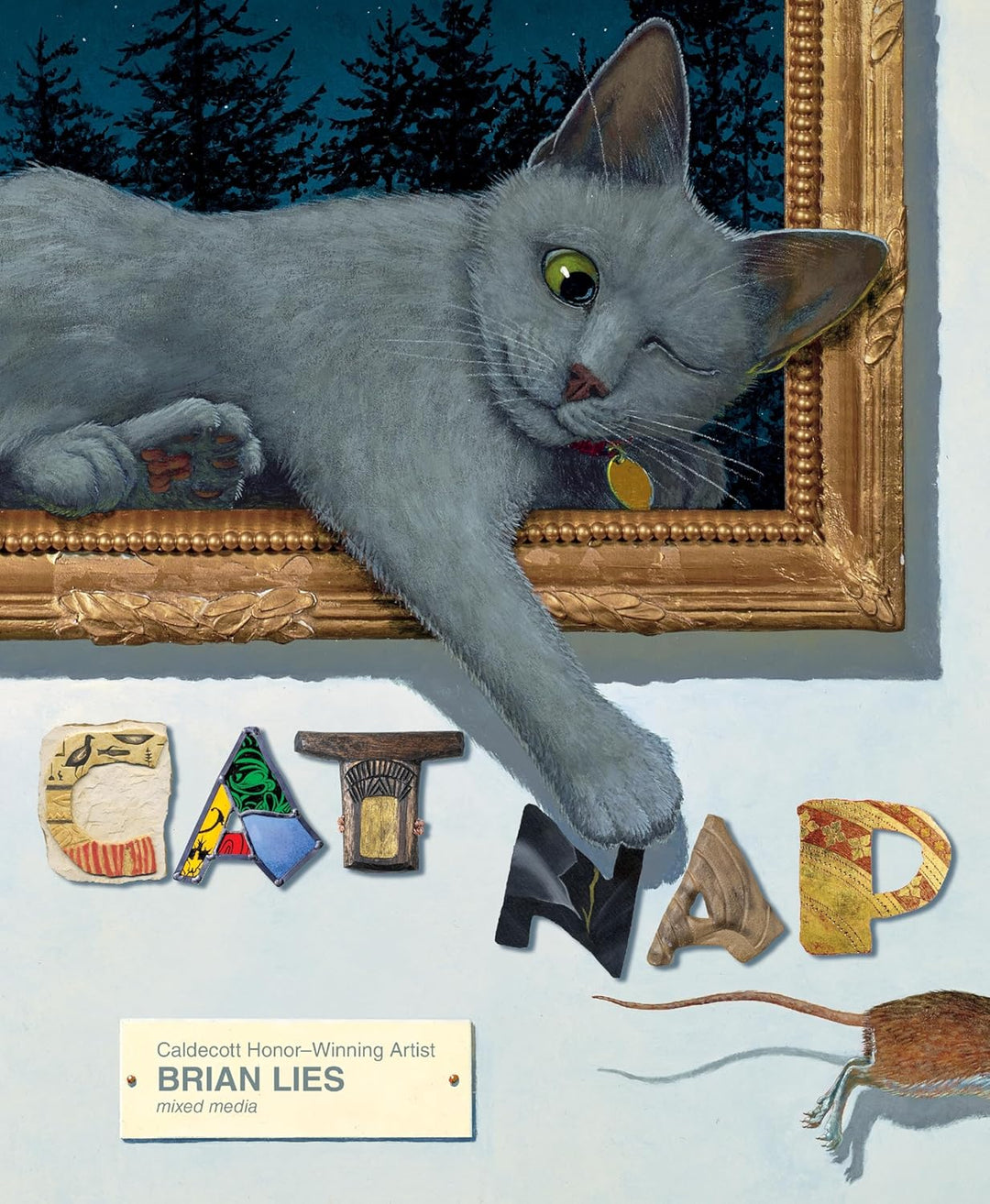 Cat Nap by Brian Lies (Hardback)