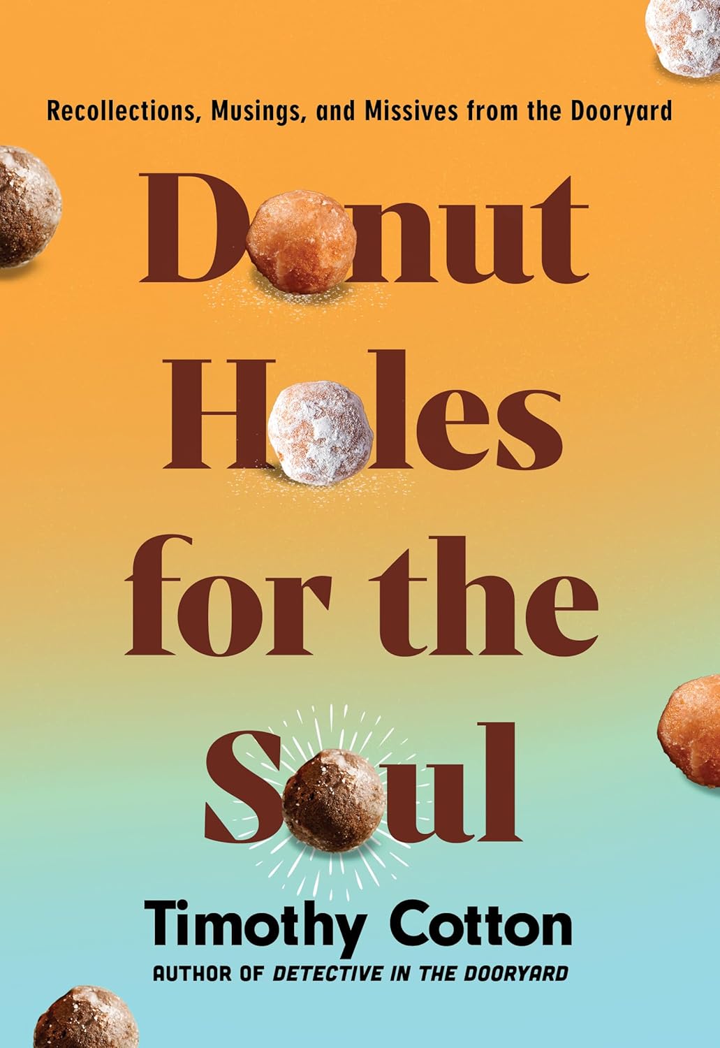 Donut Holes for the Soul by Timothy Cotton