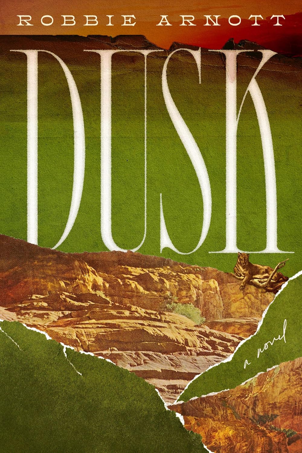 Dusk by Robbie Arnott