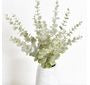 Powder Wash Eucalyptus Bundle