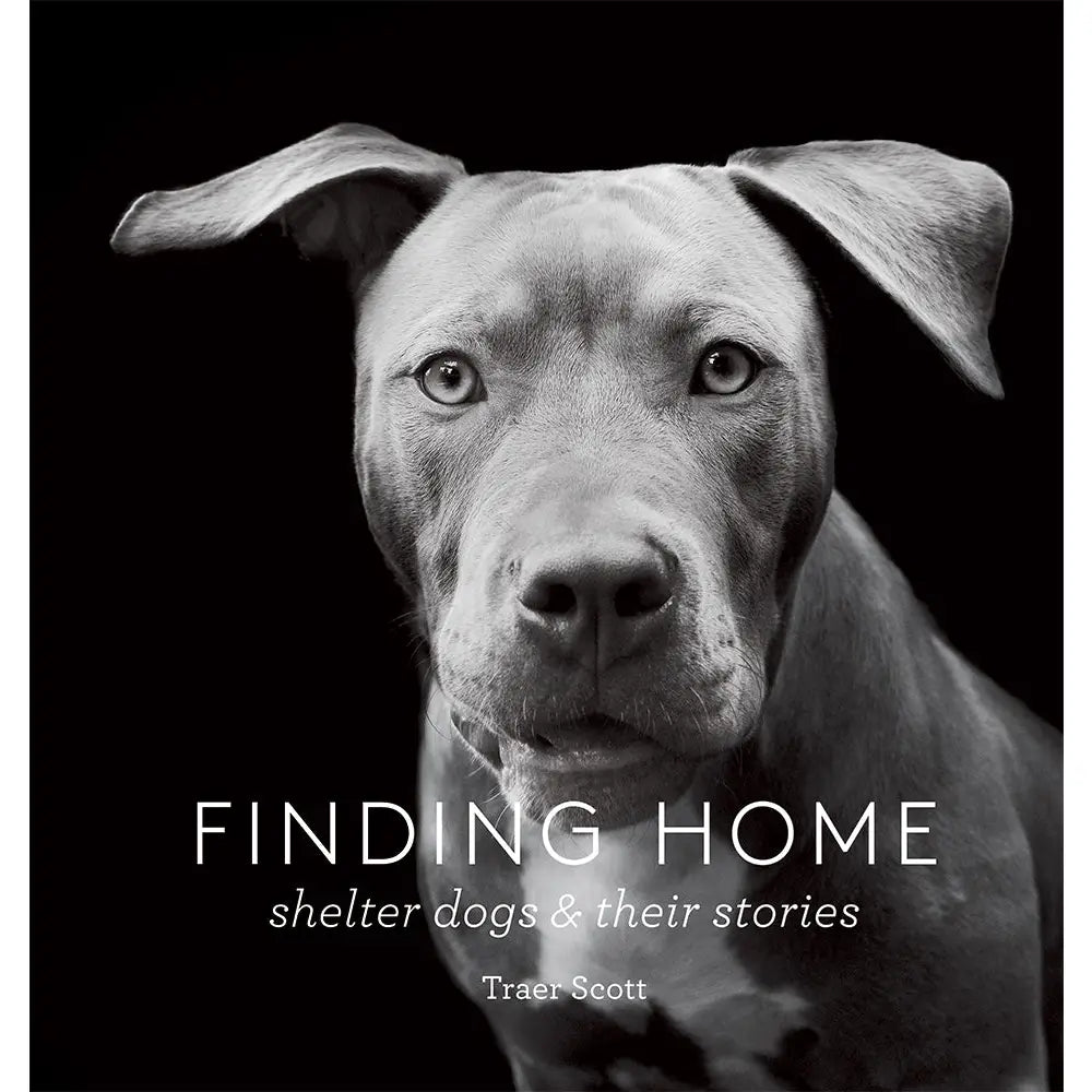 Finding Home by Traer Scott