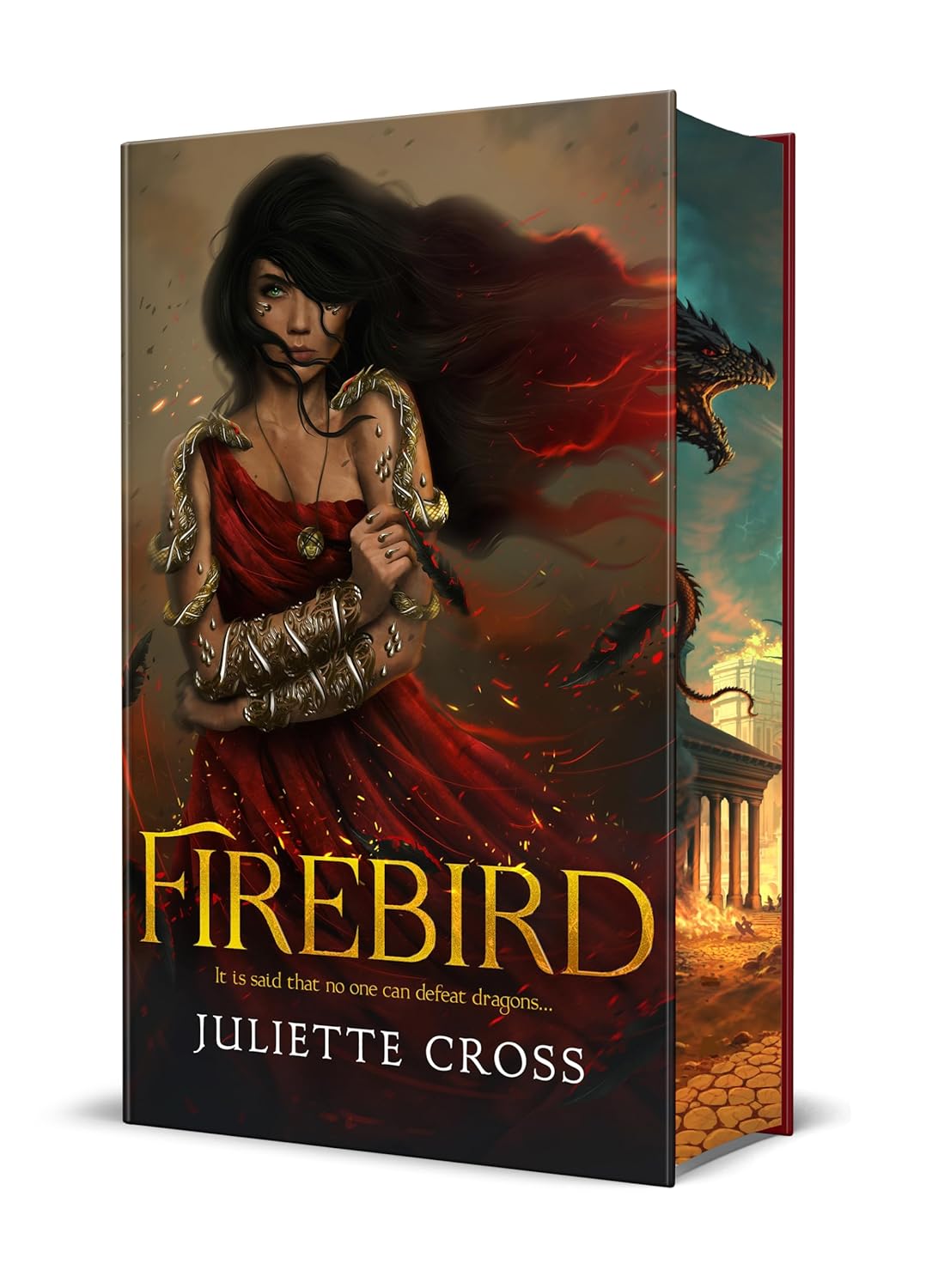 Firebird: The Fire That Binds Book 1 by Juliette Cross