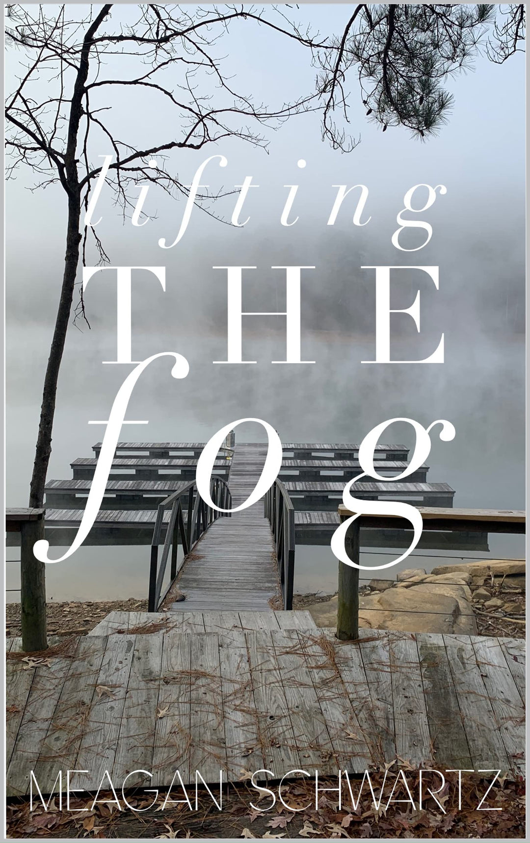 Lifting the Fog by Meagan Schwarz