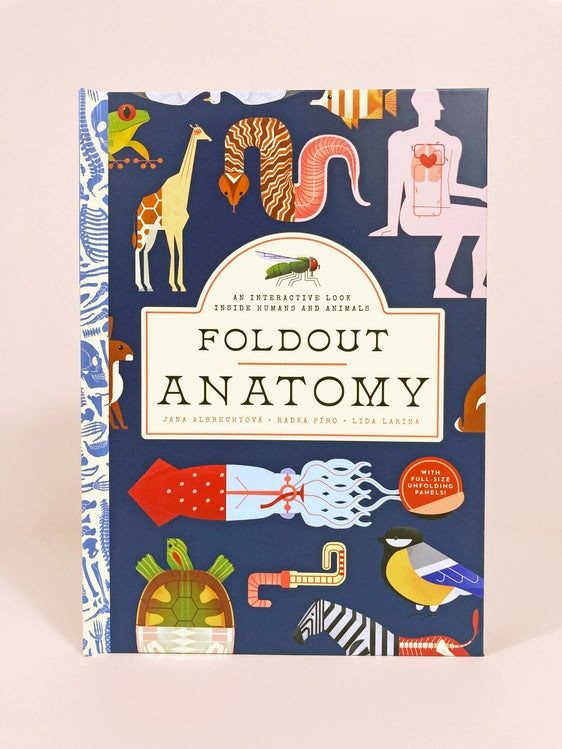 Foldout Anatomy by Jana Albrechtova, Radka Piro, and Lida Larina