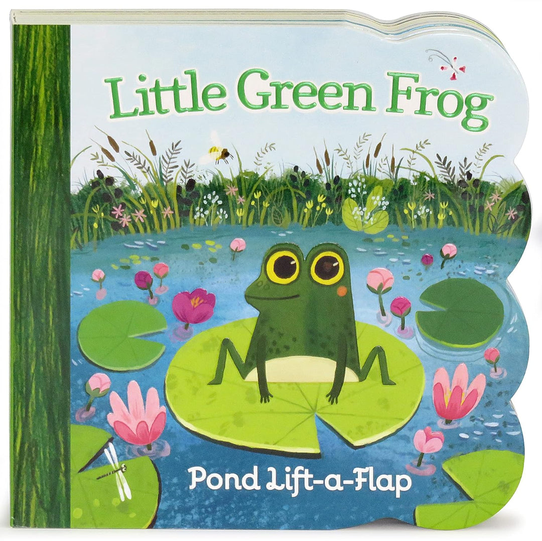 Little Green Frog: Lift a Flap by Ginger Swift