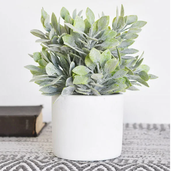 Green Bush with Pot