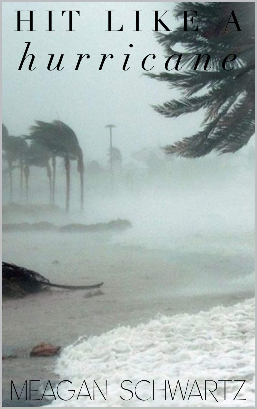 Hit Like a Hurricane by Meagan Schwarz