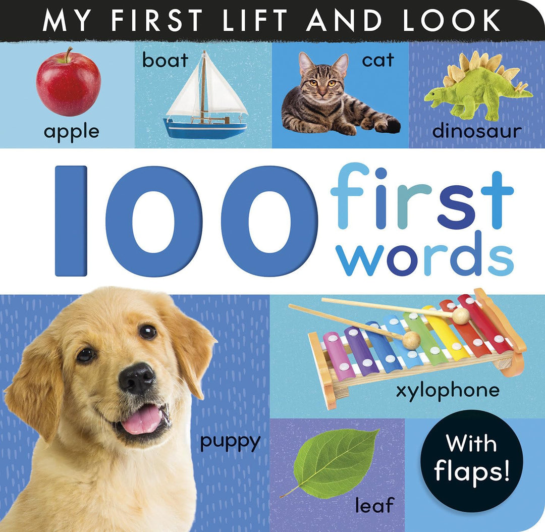 100 First Words: My First Lift and Look (Boardback)