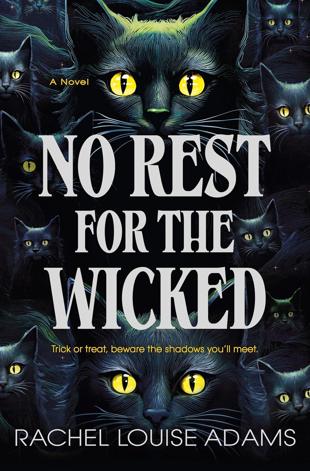 No Rest for the Wicked by Rachel Louise Adams (Hardback)