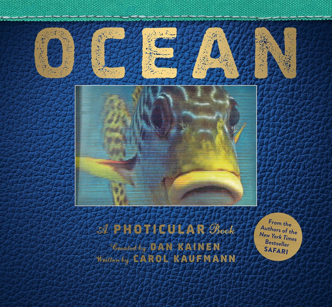 Ocean: A Photicular Book by Dan Kainen and Carol Kaufmann