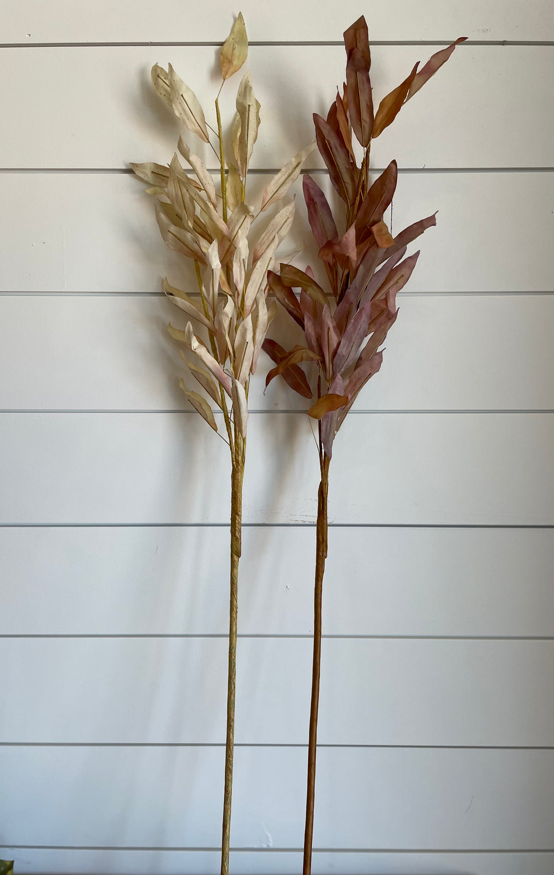 Dried Olive Leaf Branch, Brown