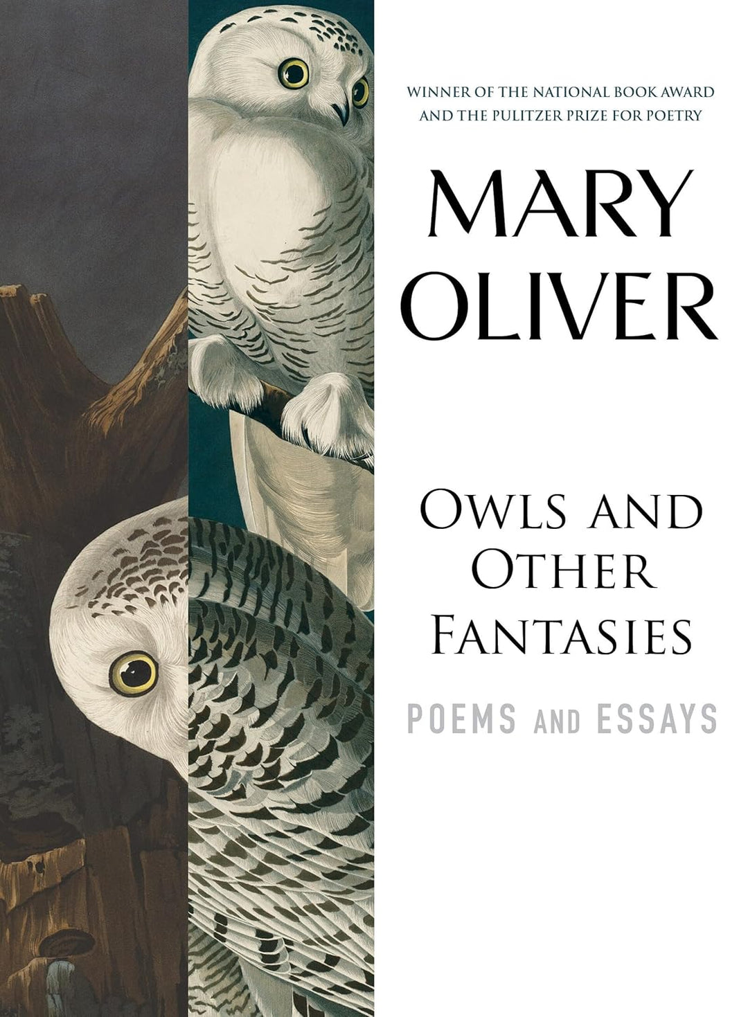 Owls and Other Fantasies by Mary Oliver