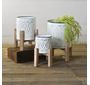 White Tin Planters on Stand - Two Sizes