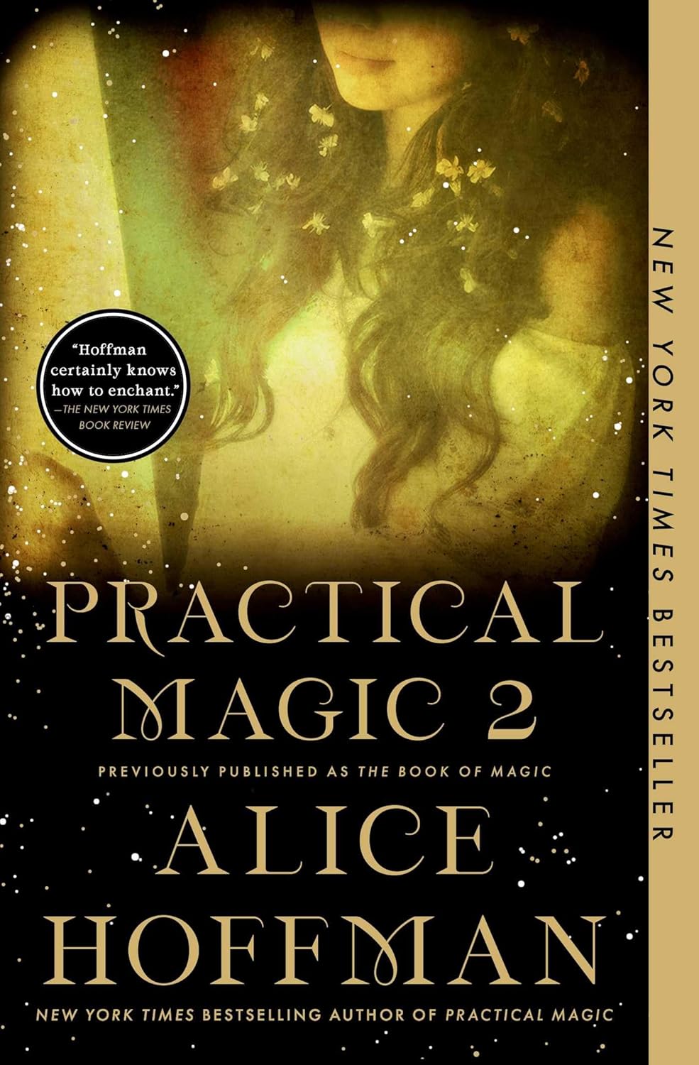 Practical Magic 2 by Alice Hoffman (previously published as The Book of Magic)