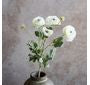 Ranunculus Cluster Stem 24"