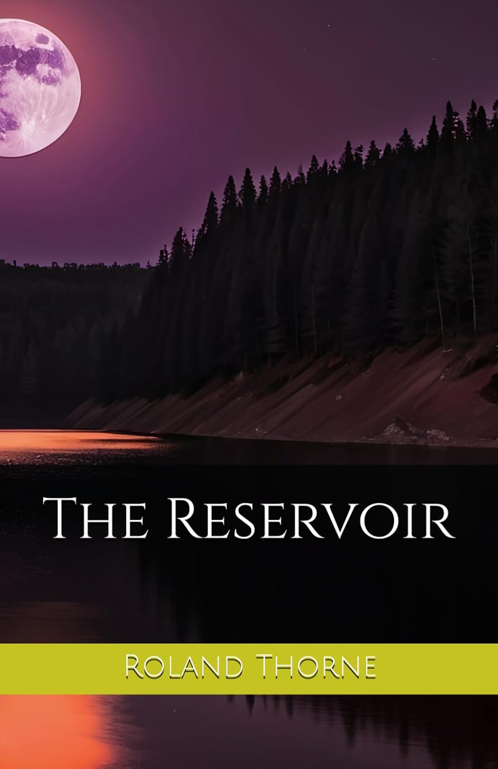 The Reservoir by Roland Thorne