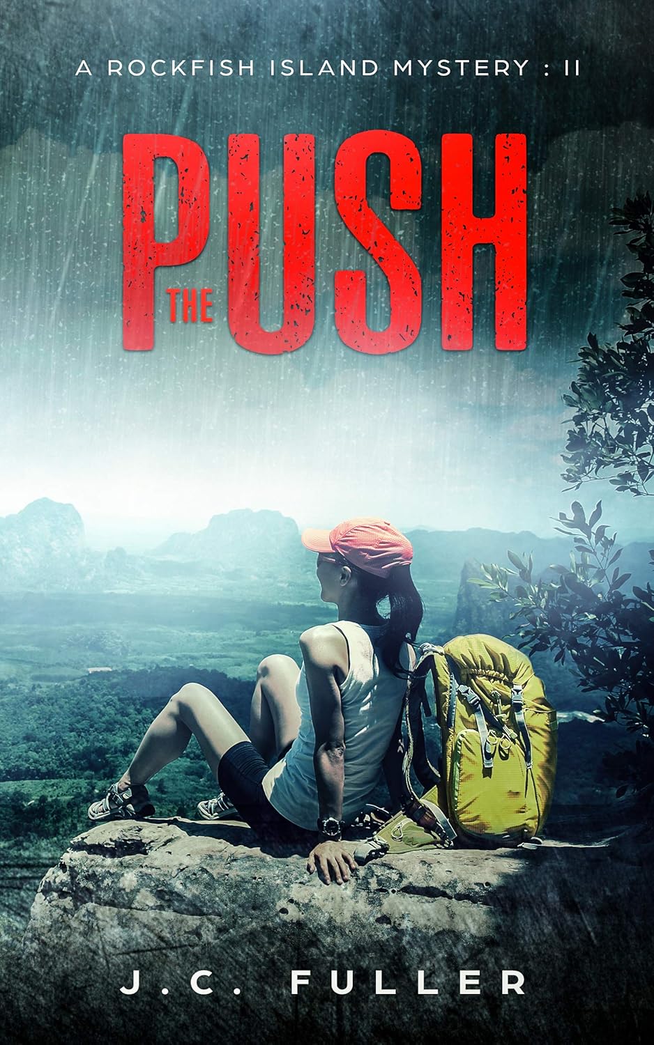 The Push: A Rockfish Island Mystery by J. C. Fuller