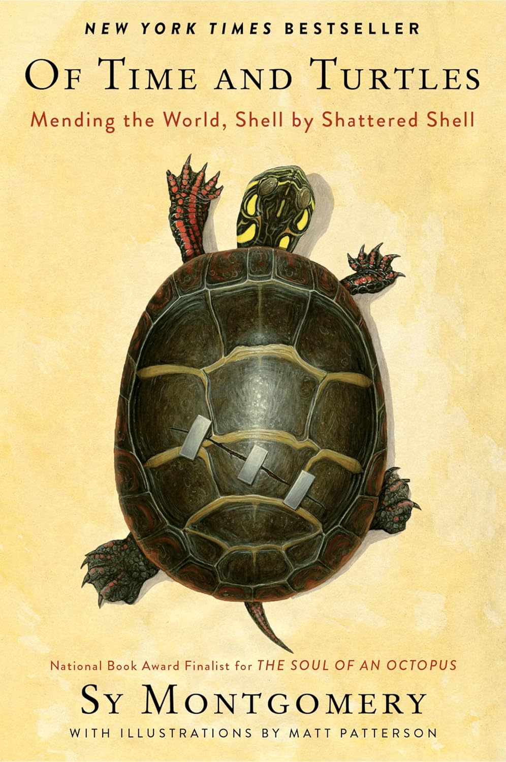 Of Time and Turtles by Sy Montgomery