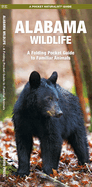 Alabama Wildlife A Folding Pocket Guide to Familiar Animals