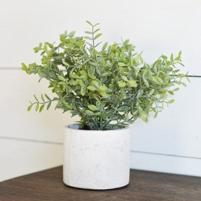 Petite Leaf Bush