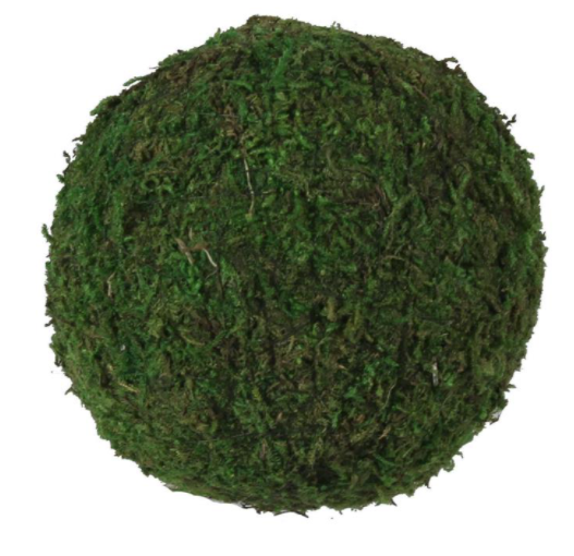 4" Moss Ball