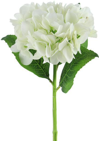 White Hydrangea Spray
