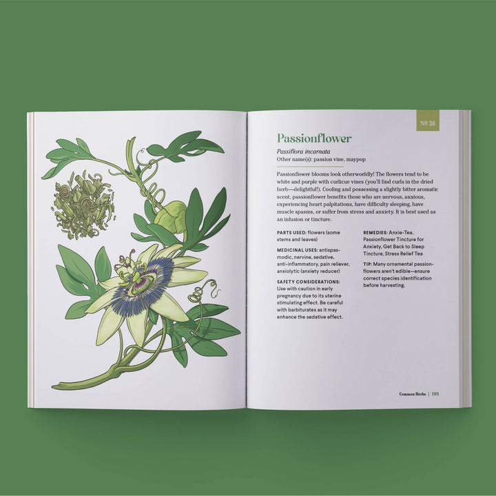 The Little Encyclopedia Of Herbal Medicine