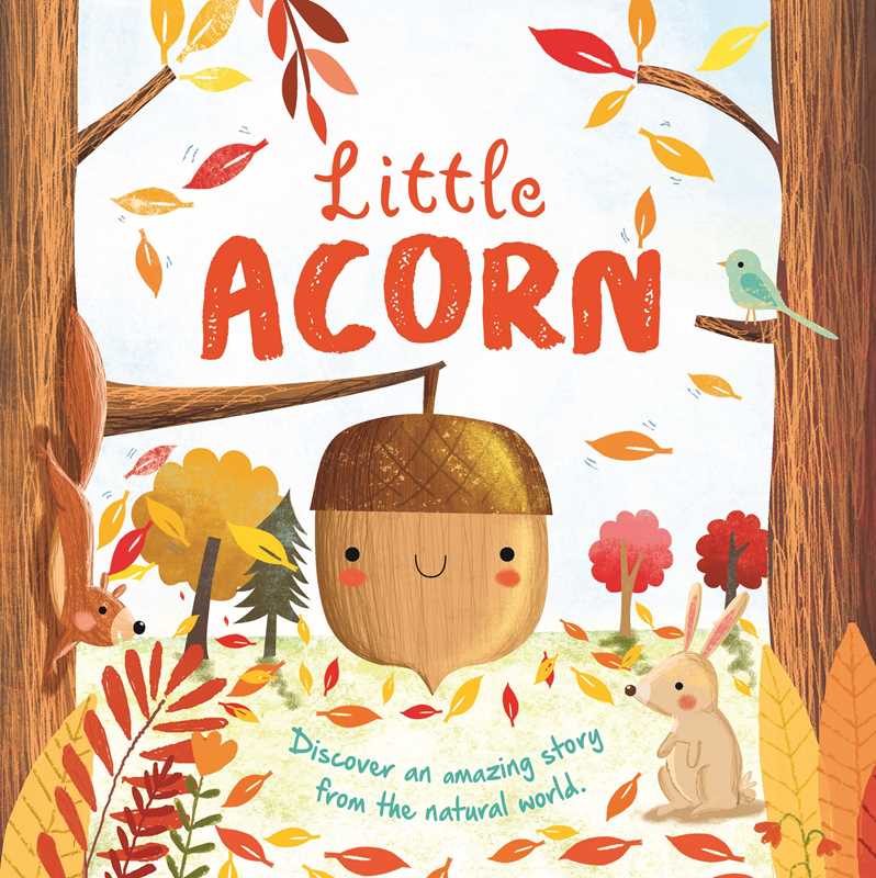 Nature Stories: Little Acorn (Board Book) by IglooBooks