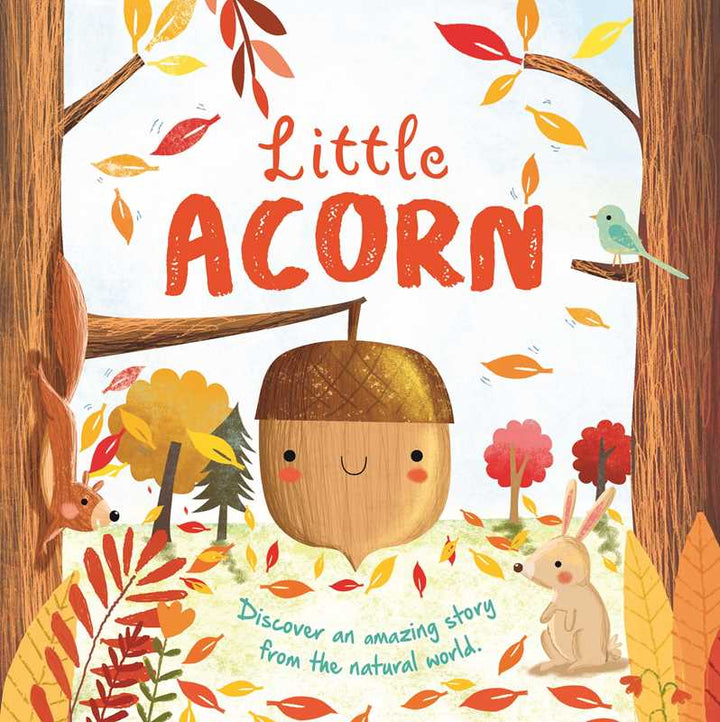 Nature Stories: Little Acorn (Board Book) by IglooBooks