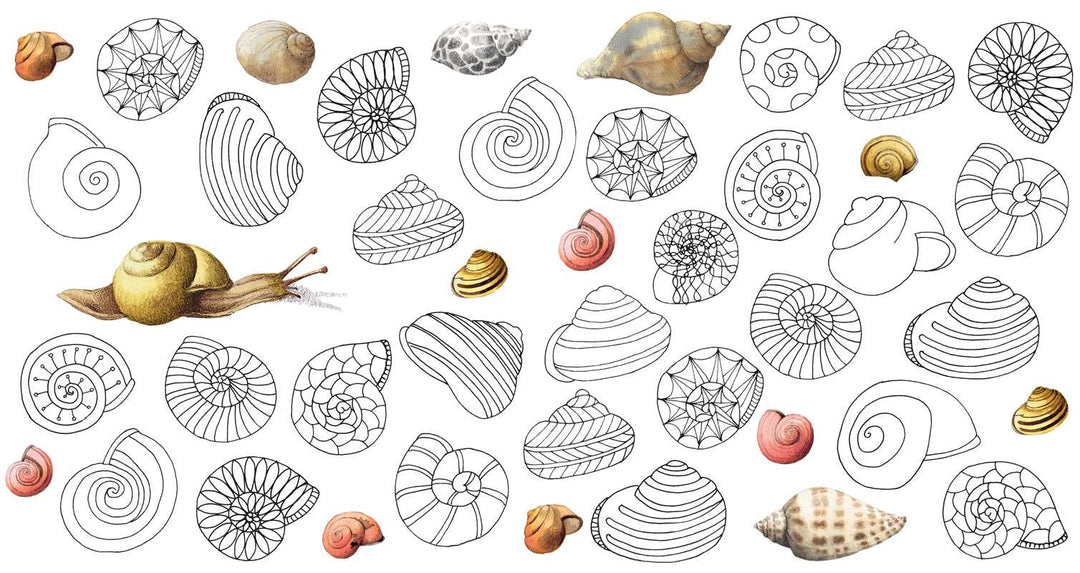 Magical Nature Coloring Pages by Marjolein  Bastin