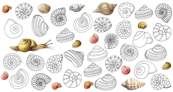 Magical Nature Coloring Pages by Marjolein  Bastin