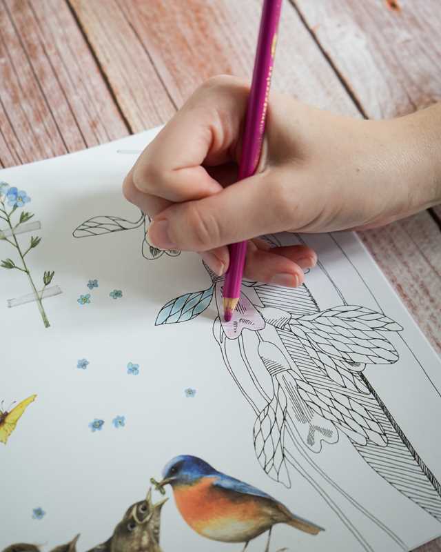 Magical Nature Coloring Pages by Marjolein  Bastin