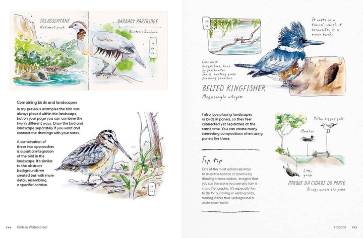 Birds in Watercolour