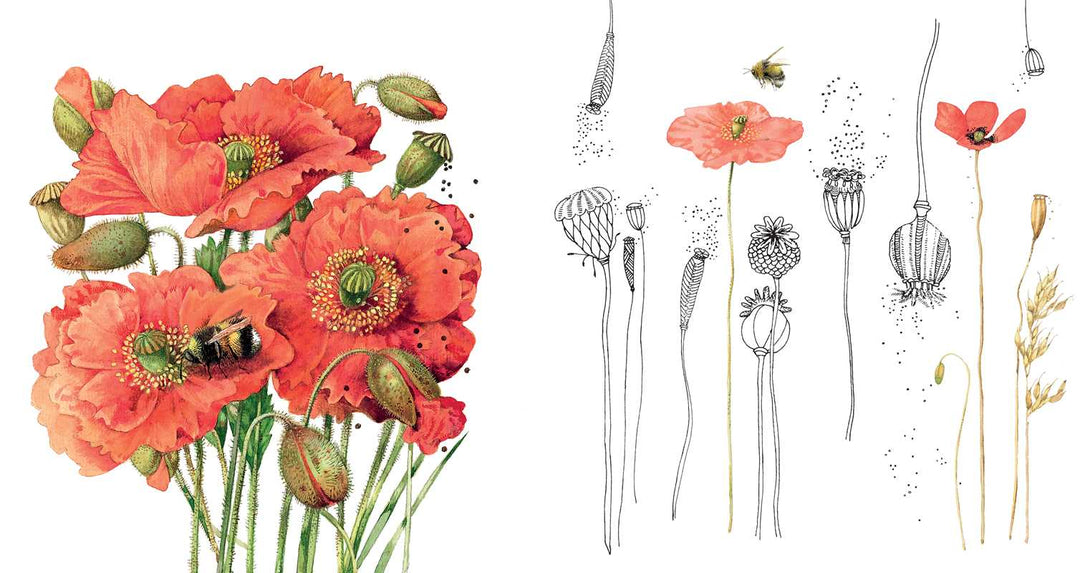 Magical Nature Coloring Pages by Marjolein  Bastin